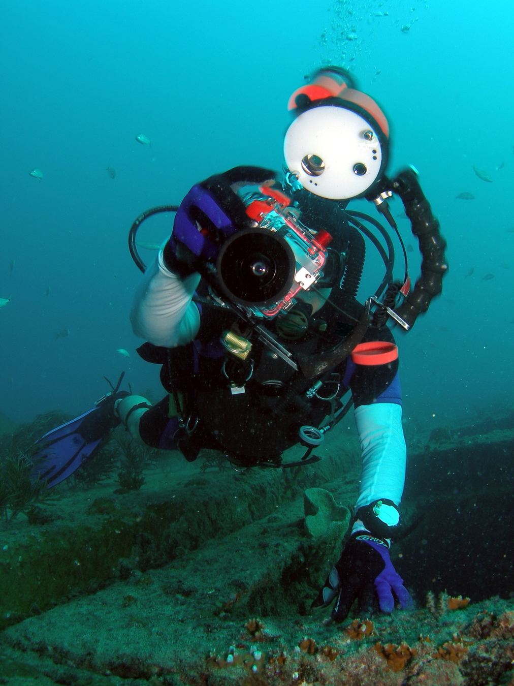 Above the Reef
